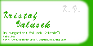 kristof valusek business card